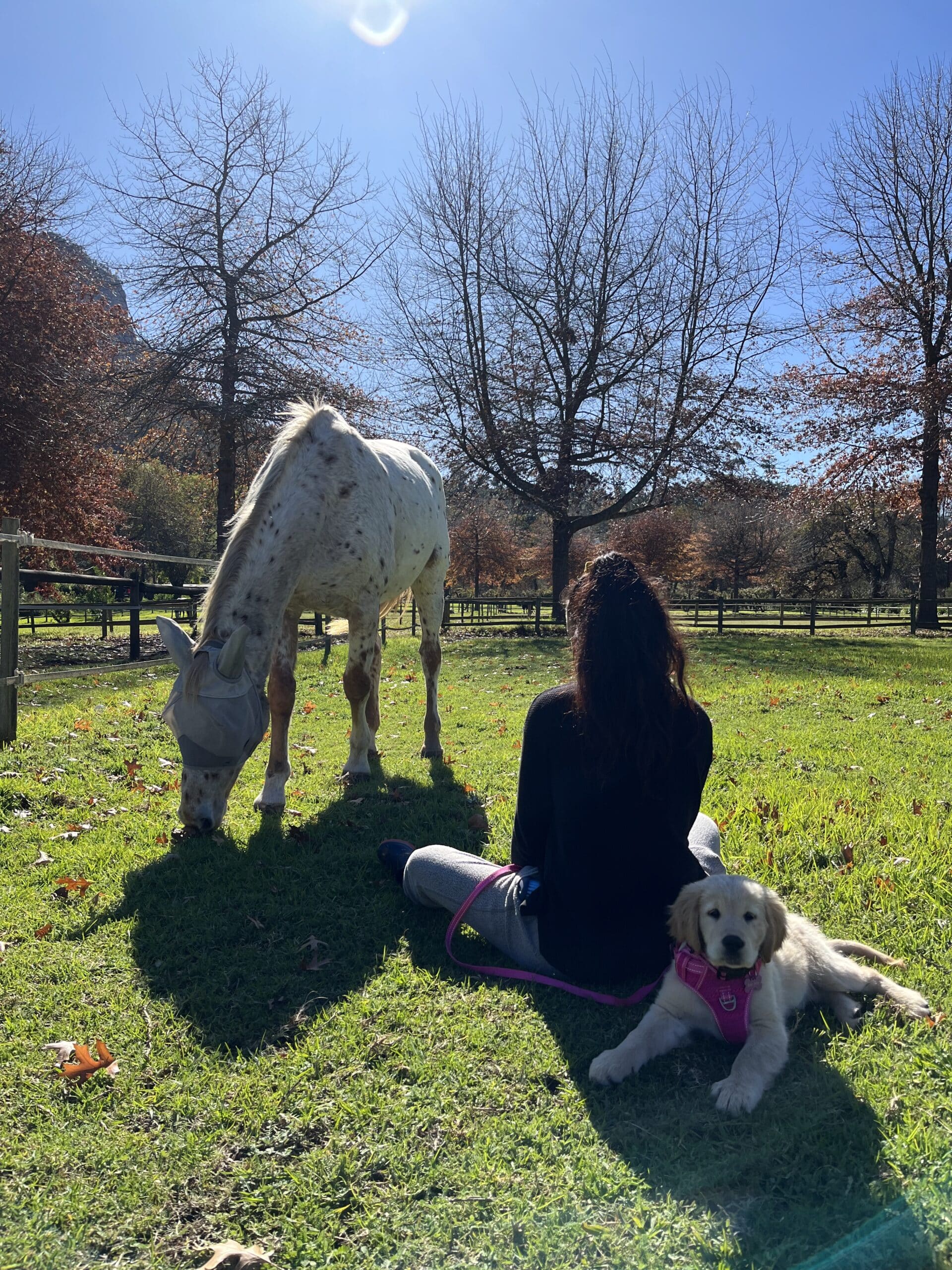 Lalla with her horse and dog in Stellenbosch